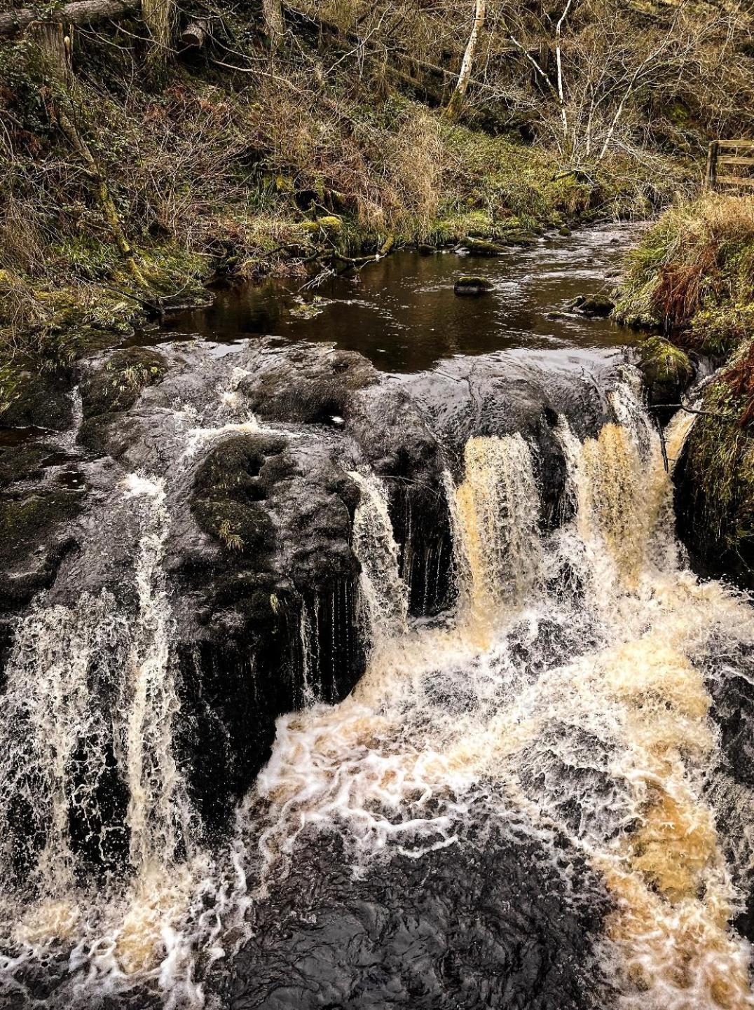 Glenariff Forest Evergreen Lodge ภายนอก รูปภาพ